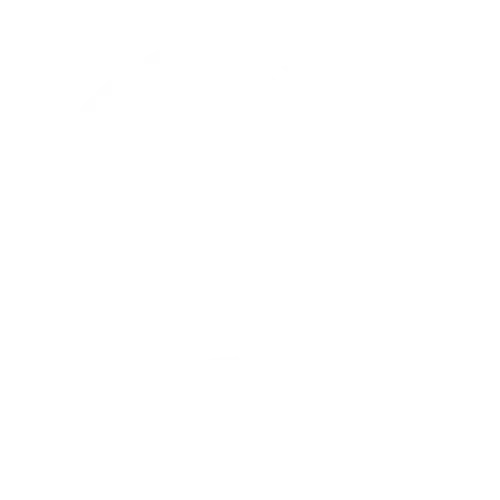 Logo da Zice Digital.